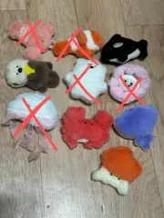 海**양**生**物** **마**그넷 5個