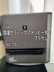 美品】タイジ ホットストーンウォーマー WHS-12 除菌清掃済 - メルカリ