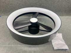 Item thumbnail for item 362b1a98-35e0-4e31-87bf-a485f12c2a7f