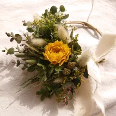 ラナンキュラスのミニハーフリース