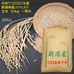 令和7年茨城県産 新米コシヒカリ 30kg玄米→精米後渡し 令和7年茨城県産新米コシヒカリ 30kg 玄米→精米後渡し - メルカリ