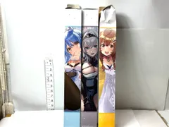 外装不良未使用品 一番くじ hololive ホロライブ キャンパス地タペストリー 3個セット 兎田ぺこら 白銀ノエル 戌神ころね 2/20