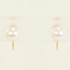 Item thumbnail for item 5c28be01-8671-4b44-95d8-98f9d71cb5e8