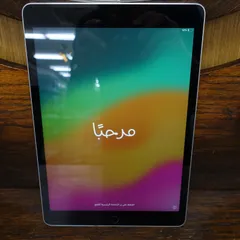 初期化済み iPad 第9世代 64GB シルバー Wi-Fi (2) エキスパート藤沢辻堂店