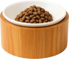 Item thumbnail for item f548cb8d-a2c0-42be-8da9-dfa8d82d1d2d