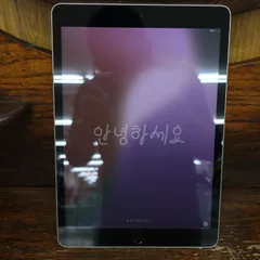 初期化済み iPad 第9世代 64GB シルバー Wi-Fi (3) エキスパート藤沢辻堂店