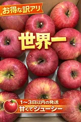 世界No.1りんご！『サンふじ』！！　追熟だから美味い！　 青森県産　りんご　家庭用　訳あり　サンふじ　約3キロ