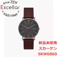 スカーゲン 限定チタン 腕時計 SKW6717 LIMITED EDITION - メルカリ