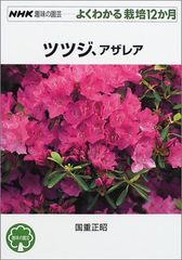 Item thumbnail for item 44b729cb-d239-46d7-9795-13859758570c