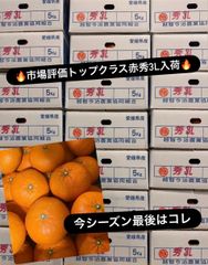🍊 中島産 露地せとか 5kg 青秀 さやか農園 - メルカリ