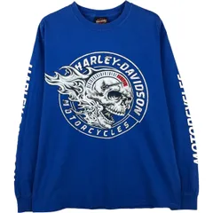 古着 ハーレーダビッドソン Harley-Davidson ドクロ柄 スカル柄 ファイヤーパターン モーターサイクル ロングTシャツ ロンT/eaa615049
