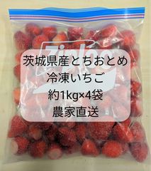 茨城県産とちおとめ 冷凍イチゴ12kg 農家直送 - メルカリ