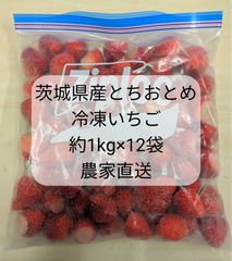 茨城県産とちおとめ 冷凍イチゴ12kg 農家直送 - メルカリ