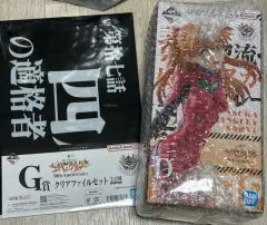 エヴァンゲリオン30周年 D+G