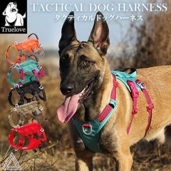 犬用リード 4dox - スウィッチリーシュ 2M パープル ピンク - メルカリ