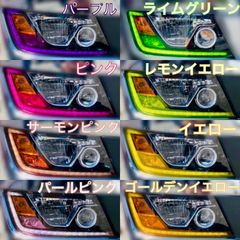 日野 17プロフィア/17レンジャー 【アイライン/フォグフィルム】2台分