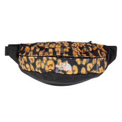 Item thumbnail for item 62b34861-b1d9-4447-a328-2036de08652e