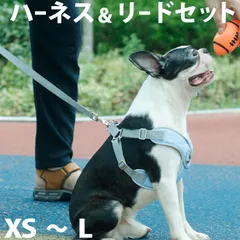 【S】犬 ハーネス リードセット リード付き Vネック 痛くない 中型犬 小型犬 軽量 サイズ調整 メッシュ 反射素材 散歩 普段使い ペットグッズ ストレスフリー 丈夫