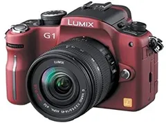 2026年最新】lumix g100dの人気アイテム - メルカリ