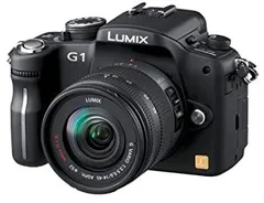 2026年最新】lumix g100dの人気アイテム - メルカリ