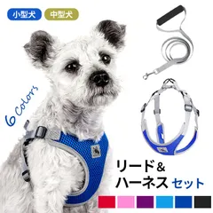【Sサイズ】ハーネス リード セット 犬 小型犬 犬用 リードセット リード付き 痛くない 中型犬 お出かけ 簡単装着 軽量 サイズ調整 メッシュ 反射素材 散歩 普段使い ペットグッズ ストレスフリー 丈夫