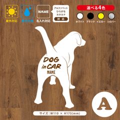 Item thumbnail for item d0997217-21f3-47b4-b73f-a0257b70107a