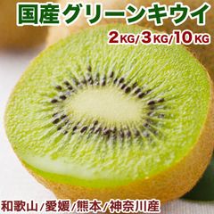 国産キウイフルーツ 約2kg 箱 11〜15玉 大玉 愛媛/和歌山/熊本/神奈川産 ｜鮮やかな緑色の果肉と爽やかな甘み｜ジューシーで食べやすい定番フルーツ｜毎日の健康習慣に｜四季の広場厳選 Green Kiwifruit 国産キウイ 緑奇異果｜家庭用・贈答用