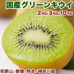 国産キウイフルーツ 約2kg 箱 11〜15玉 大玉 愛媛/和歌山/熊本/神奈川産 ｜鮮やかな緑色の果肉と爽やかな甘み｜ジューシーで食べやすい定番フルーツ｜毎日の健康習慣に｜四季の広場厳選 Green Kiwifruit 国産キウイ 緑奇異果｜家庭用・贈答用