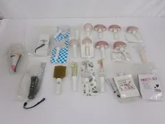  Kis-My-Ft2 グループグッズ 詰合せ キャリーケース DVD パンフレット ペンライト クリアファイル 等 グッズセット