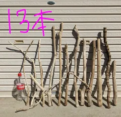 2026年最新】バードアスレチックの人気アイテム - メルカリ