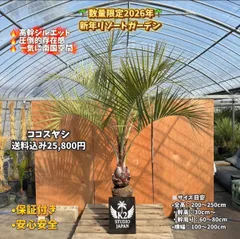 2026年最新】ココスヤシ シルバーの人気アイテム - メルカリ