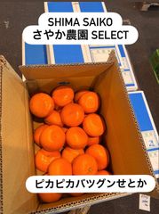 中島プリンセス　愛果48号　秀品　紅プリンセス同品種　小玉多め　10kg　中島産 楽天市場】愛媛 中島産 プリンセス 小玉 5kg S〜2Sサイズ 訳あり 紅ま