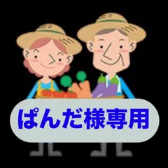 ぱんだ様専用 淡路島産新玉ねぎ 茎付き スーパーアップ 5kg 訳あり 夢玉