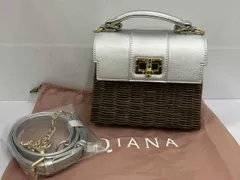 DIANA カゴバッグ 2way ハンドバッグ ショルダーバッグ シルバー ダイアナ