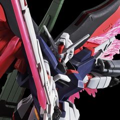 TMR 1/144 SCALE MODEL HG ハイネ専用デスティニーガンダム - メルカリ
