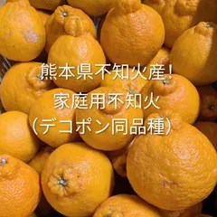 2026年最新】熊本みかんの人気アイテム - メルカリ