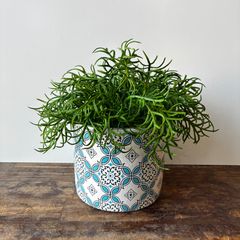 Item thumbnail for item fb7a45b9-22bb-4b85-bc96-2e9348d50c24