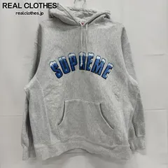 Supreme/シュプリーム【20AW】Icy Arc Hooded Sweatshirt/アイシー アーチロゴ スウェット パーカー/XL
