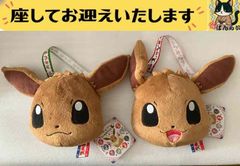 f# 포켓몬# 이브이 입닫기 & 새벽 페이스 봉제인형 패스 케이스 | I LOVE Eevee