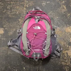 THE NORTH FACE ザノースフェイス バッグ (20L)