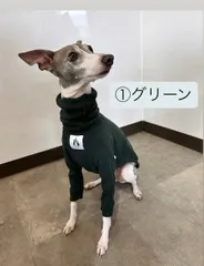 2026年最新】イタグレ服ハンドメイドの人気アイテム - メルカリ