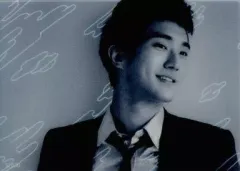 【中古】コレクションカード(男性) SJ030[PET Rare]：シウォン/PET Rare /Super Junior - スターコレクションカード