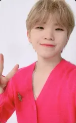 【中古】コレクションカード(男性) SEVENTEEN/WOOZI(ウジ)/裏面白/「SEVENTEEN 2022 SEASON’S GREETINGS」封入フォトカード