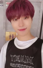 【中古】コレクションカード(男性) SEVENTEEN/DINO(ディノ)/「SEVENTEEN GLOBAL OFFICIAL FANCLUB `CARAT’ MEMBERSHIP KIT『SEVENTEEN IN TWENTY』」同梱フォトカード