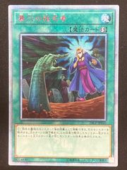 遊戯王】墓穴の指名者 20THシークレットレア ランクB - メルカリ