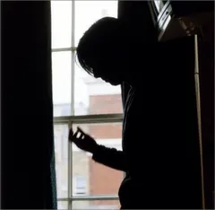 (CD)確かな光／高野寛