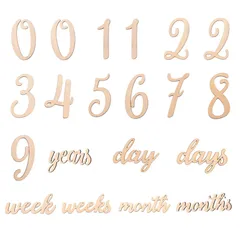 成長記録 記念日フォト ニューボーンフォト 出産祝い撮影用小道具 20枚セットベビーマンスリーカッド 寝相アート レターバナー 天然木製 月齢フォト木製 再利用可能 YFFSFDC