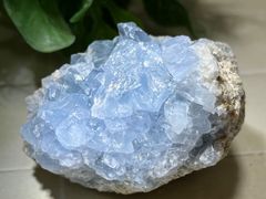 天使の石】 特大 セレスタイト 天青石 原石 ラフストーン - メルカリ