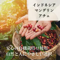 【同梱はご相談ください 】【コーヒー生豆】インドネシア マンデリン アチェ【500g】のサムネイル