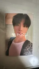 Seventeen ディノ Attacca CARAT Ver.